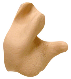 Radians Custom Molded Ear Plugs
