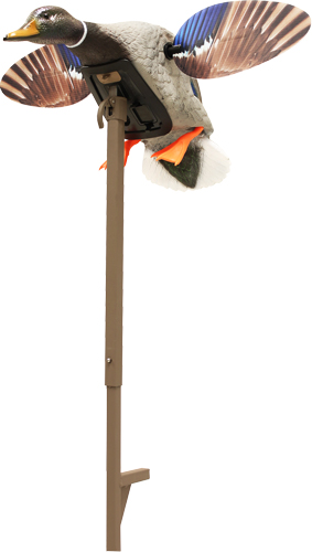 Mojo Outdoors HW24703P Elite Series Mini Mallard Drake Species Multi Color Plastic