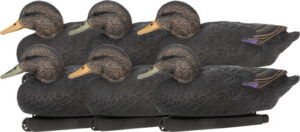 ZINK FLOATER DECOYS Black DUCK - 6 PACK