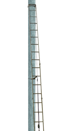 Trophy Treestands Hangtime 18' Climbing Ladder (TS303)