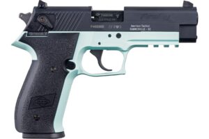 GSG GERG2210FFM FireFly 22 LR 10+1 4" Black Serrated Slide, Mint Zinc Alloy w/Accessory Rail Frame, Black Polymer Grip