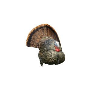 Avian X AVXAVX8004 LCD Strutter Turkey Species Multi Color Dura-Rubber