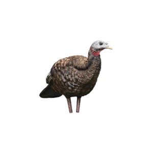 Avian X AVXAVX8008 LCD Breeder Hen Turkey Species Multi Color Dura-Rubber