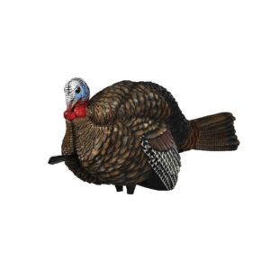 Avian X AVXAVX8012 LCD Half-Strut Jake Turkey Species Multi Color Dura-Rubber