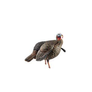 Avian X AVXAVX8105 HDR Jake Turkey Decoy Multi Color