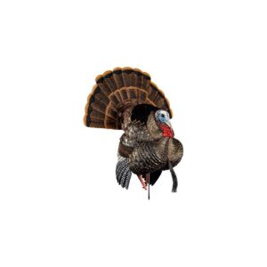 Avian X AVXAVX8108 HDR Strutter Turkey Species Multi Color