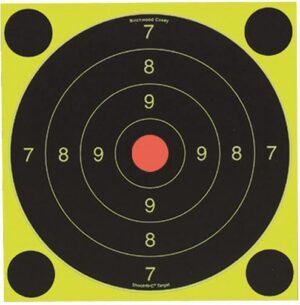 Birchwood Casey Shoot-N-C International Target