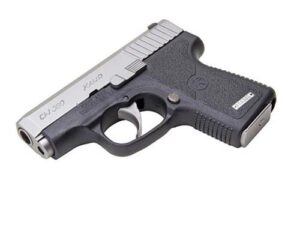 CW380 .380 ACP 2.5' Black/STS w/6rd Mag Front Night Sights