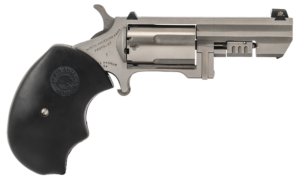 NORTH American ARMS RECLUSE .22 WMR 2" SS XS